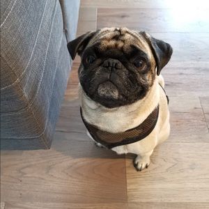 Meet your Posher, Vivian